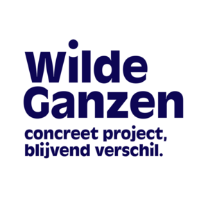 wilde-ganzen